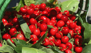 氛围感拉满！初夏第一次露营，去汶川！