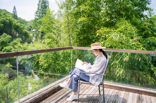 莫干山|恋上民宿,恋上慢生活