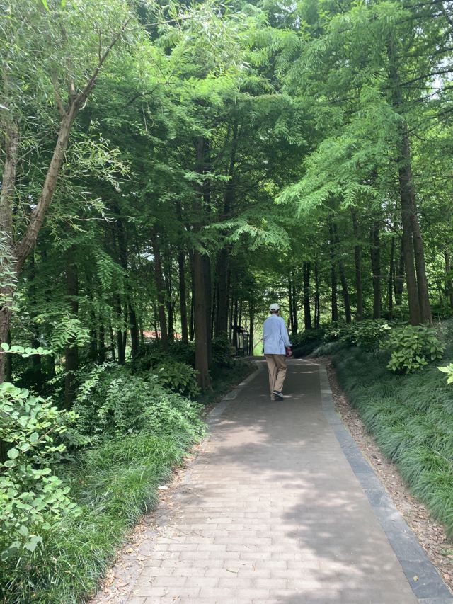 新江湾城公园旅行图片 3