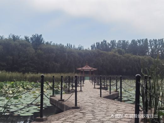 滦州市森林公园