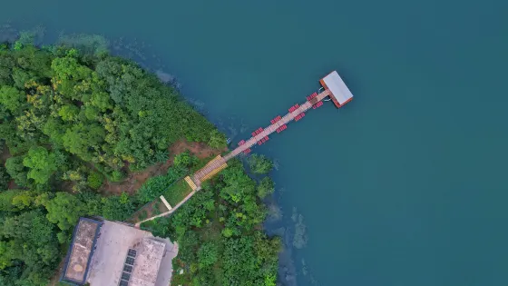 沋河