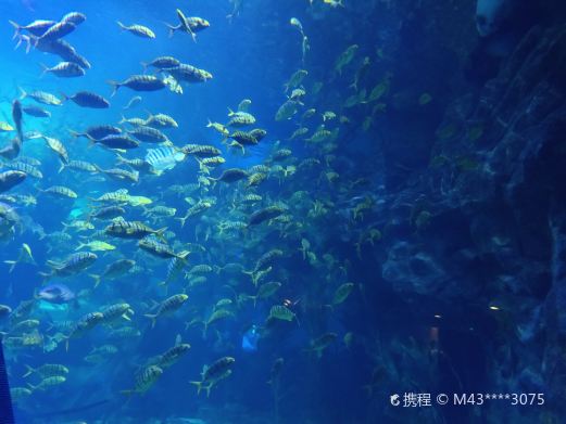 乌鲁木齐海洋馆
