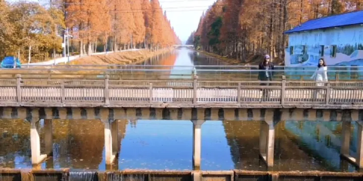 金洲筒車主題公園