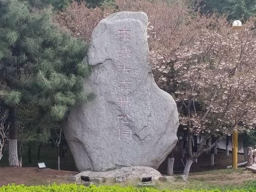 东坡头森林公园