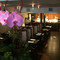 Sushi Yasaka