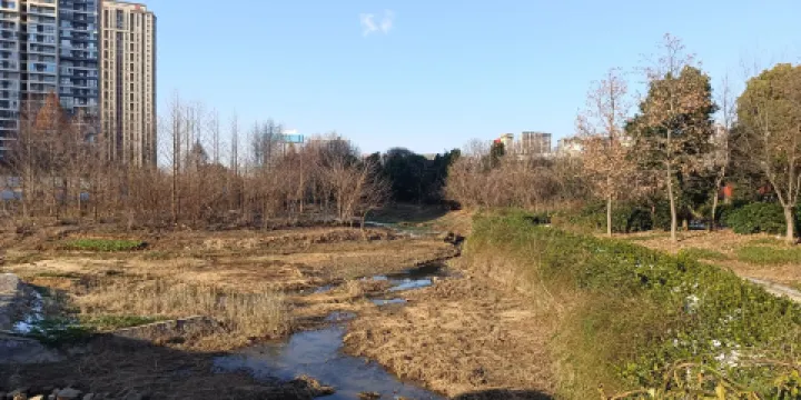 濱河公園