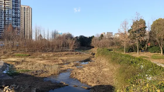 濱河公園