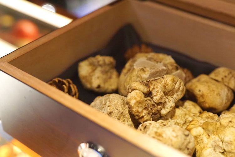 White truffle