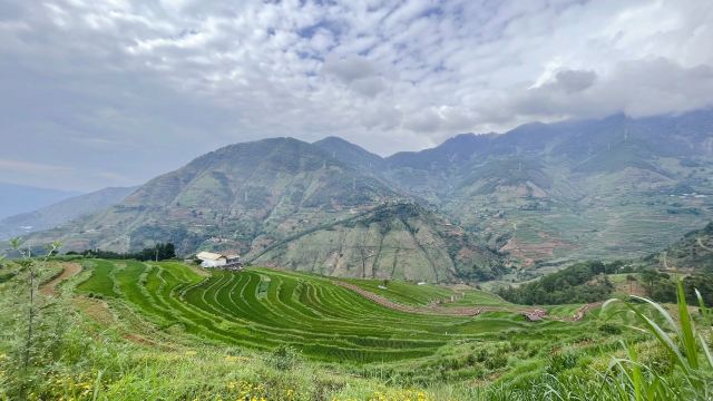 新山梯田旅行图片 1