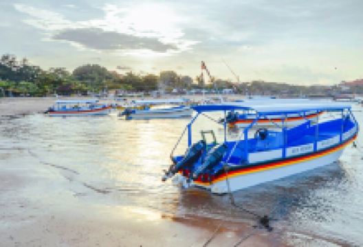 美娜多跃海大鱼景点图片