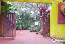 Jardin De Los Pajaros景点图片