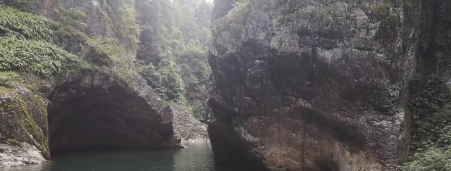 罗溪国家森林公园(暂停开放)旅行图片 4