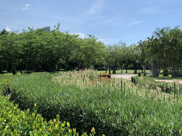 海口城市中央公园旅行图片 7