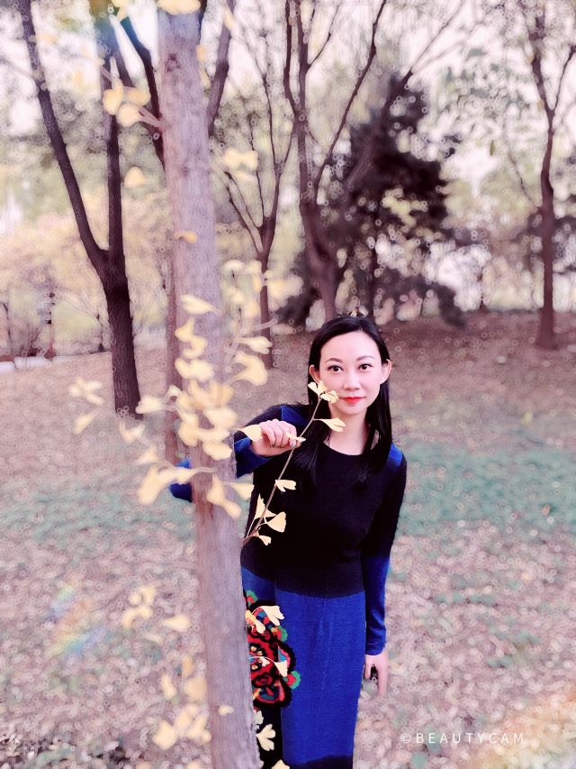 东坝公园旅行图片 11