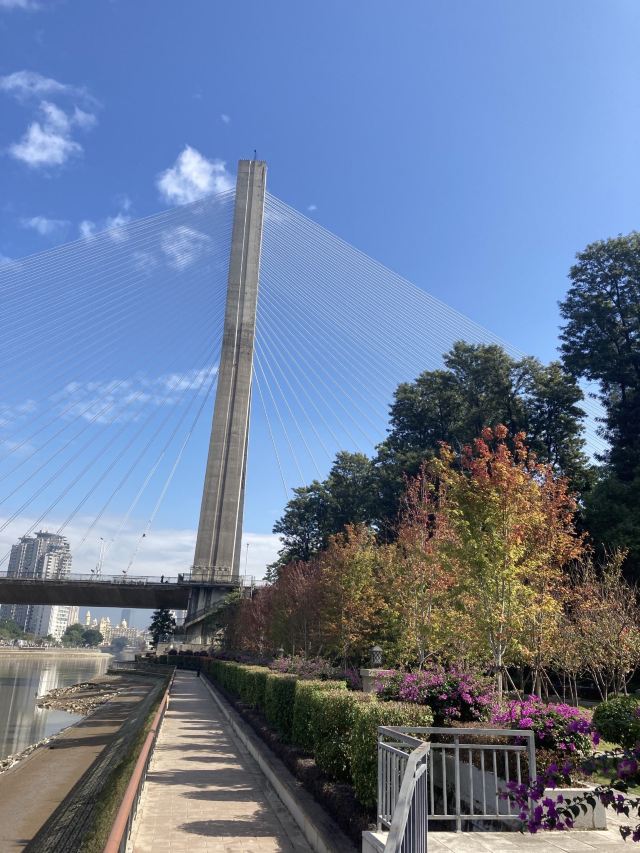 爱情岛旅行图片 6