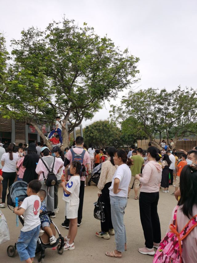东莞耕山小寨旅行图片 2