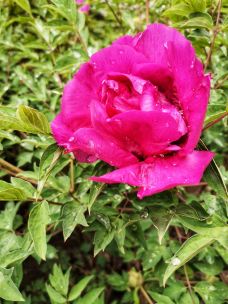 东公馆-临夏市-行走在光影深处