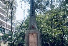 坪山公园景点图片