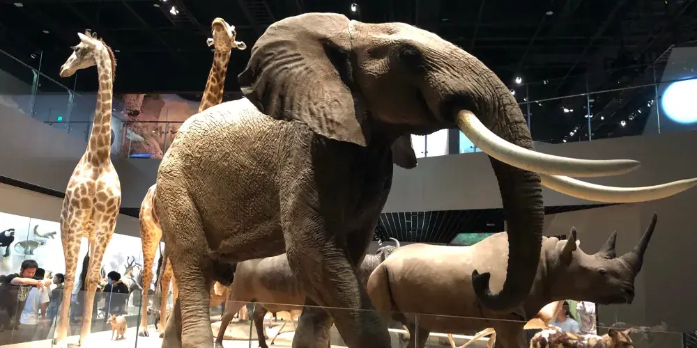 永安旅遊