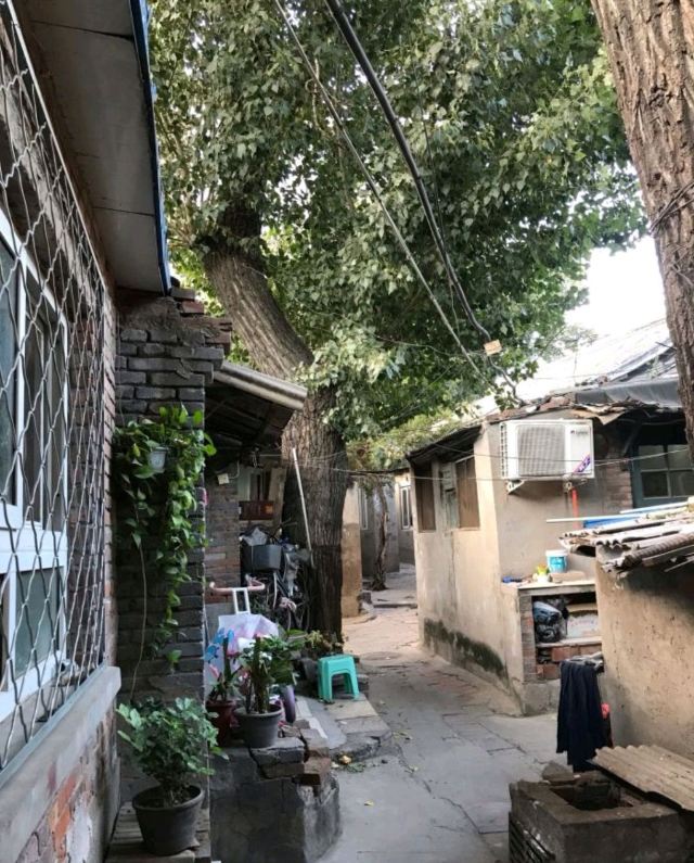 绍兴会馆旅行图片 5