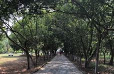 茂名森林公园-茂名-睡恣@M丶