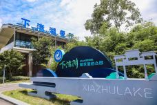 下渚湖·湿地公园-德清-栗子树Tree