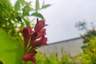 才3小时高铁,这个小众遛娃圣地必打卡!