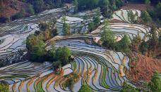 老虎嘴梯田-元阳-老老倪