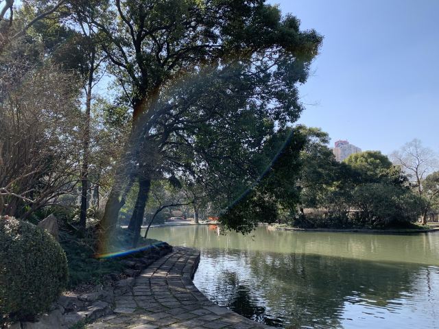 杨浦公园旅行图片 2