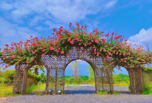 衡东游记图文-赏花摘果品土菜、水上高尔夫...2022衡东“中国旅游日”好戏连台