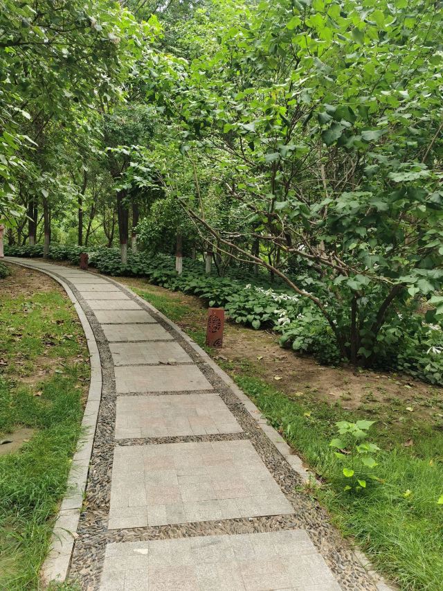 学府公园旅行图片 3
