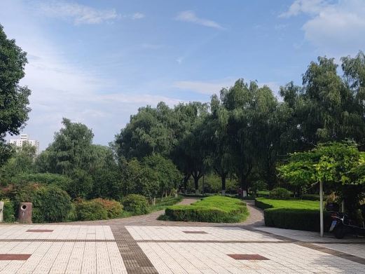 渭河公园