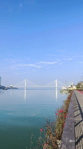 大东海/鹿回头风景区/半山半岛游记图文-春节海南自由行|海南，一个让人魂牵梦绕的地方