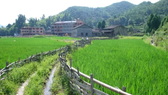 油坑