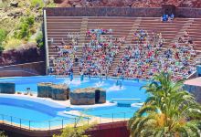 马略卡海样世界景点图片