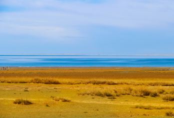 青海湖+日月山+拉脊山包车游·上门接送/包车可选车型/纯玩【性价比超高，节约一晚房费】