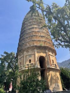 嵩阳景区-登封-岱山香橙