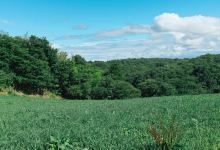 Maspie Den景点图片