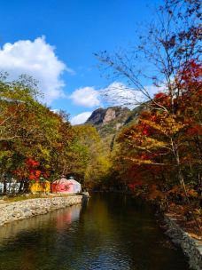 蒲石河森林公园-凤城-素心如雪lavender
