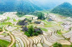 宁德游记图片] 彭贞华：梯田成风景，浓墨写春秋