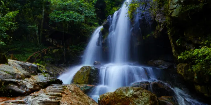 龍岩東肖森林公園