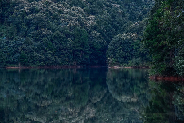 皖东南最大的度假山庄：田园别墅颇具特色，江浙沪度假后花园！
