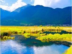 6天腾冲+瑞丽+德宏+芒市