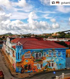 威廉斯塔德游记图文-彩虹小镇 | 加勒比最“色”城市的街头壁画battle