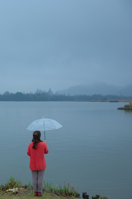 离杭州高铁十分钟,“中国最美湿地”,游客:它的美藏不住了