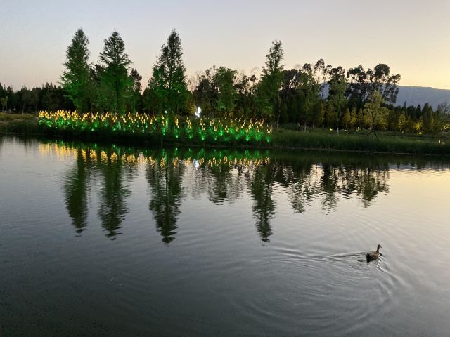 海洪湿地泼水广场旅行图片 4