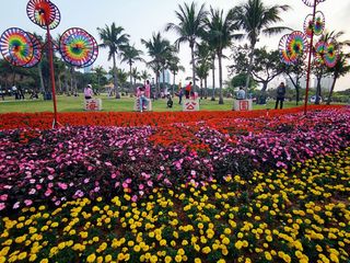 云游四海(1451)广东全景游之十三——海滨公园