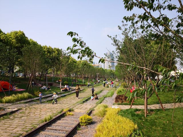 上海市滨江滑板公园旅行图片 3