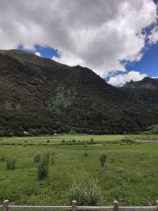 稻城亚丁-冲古草甸-稻城