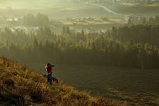 白桦林-布尔津-喜欢猫的虎